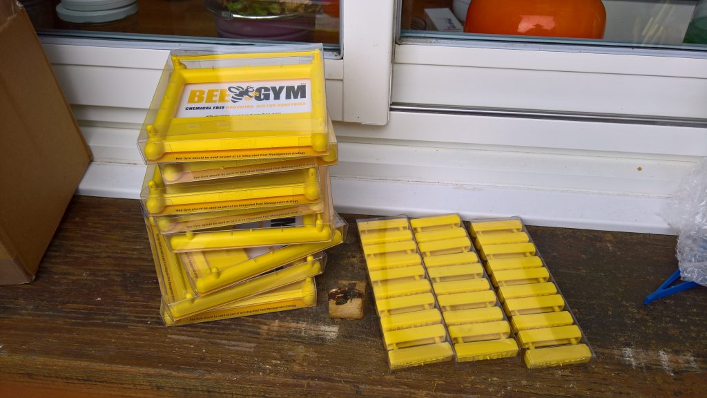 beegym